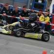 hac-2013_0264