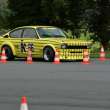 kDSC_5952
